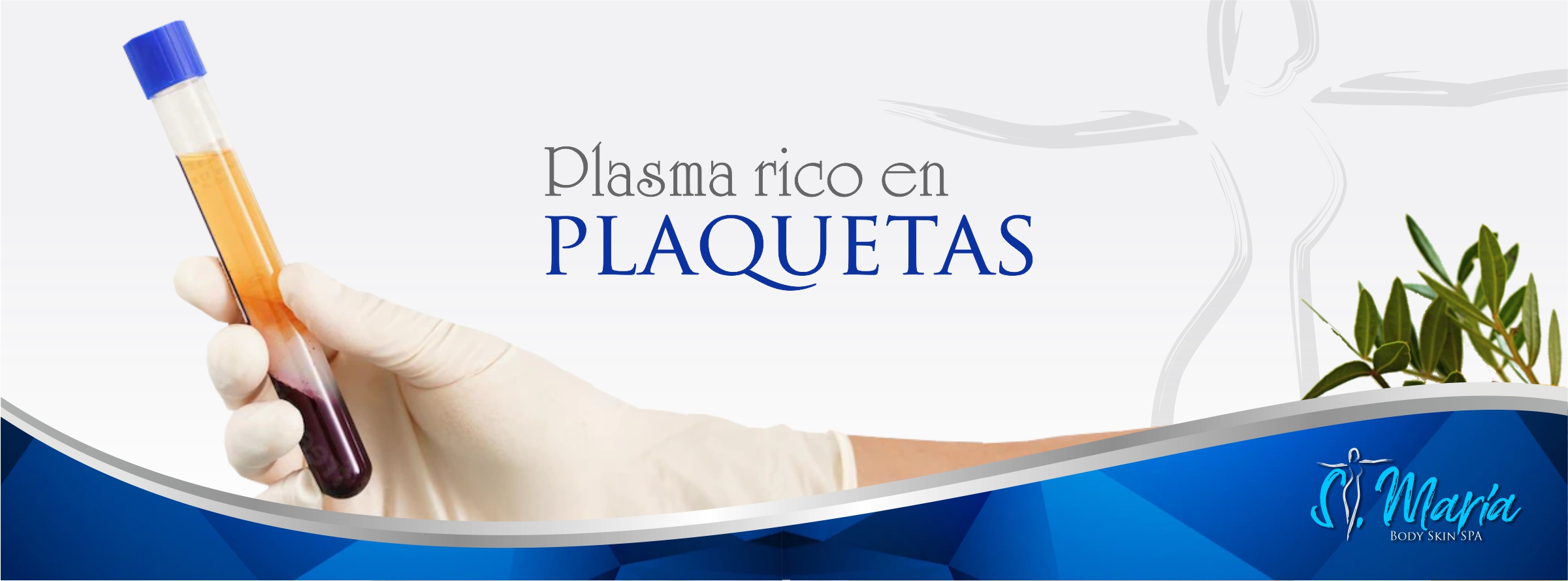 Banner St Maria Miami Spa 2301 01