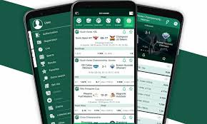 Download the BetWinner Mobile App Bet Anytime, Anywhere