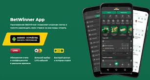 The Ultimate Guide to BetWinner Aviator Game Tips, Strategies, and More