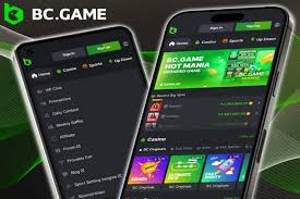 Understanding Sports Betting with BC.Game